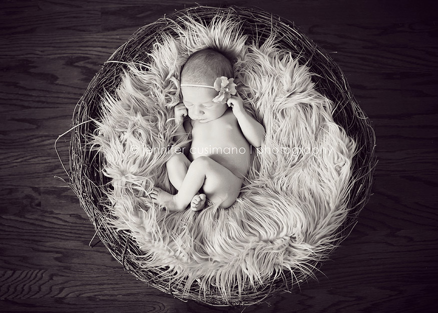 black and white image with a newborn baby in a basket on fur