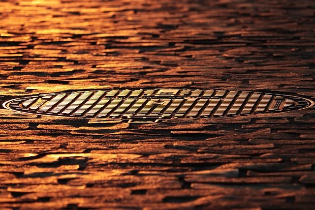 Alternativas al césped tradicional en ‘Planting Design for Dry Gardens’ de Olivier Filippi