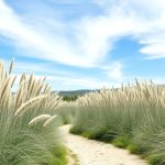 Celtica gigantea (sin. Stipa gigantea), una gramínea ibérica ideal para jardines sin riego