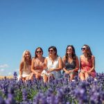 Fiesta y campos de lavanda en la Alcarria, la Provenza española